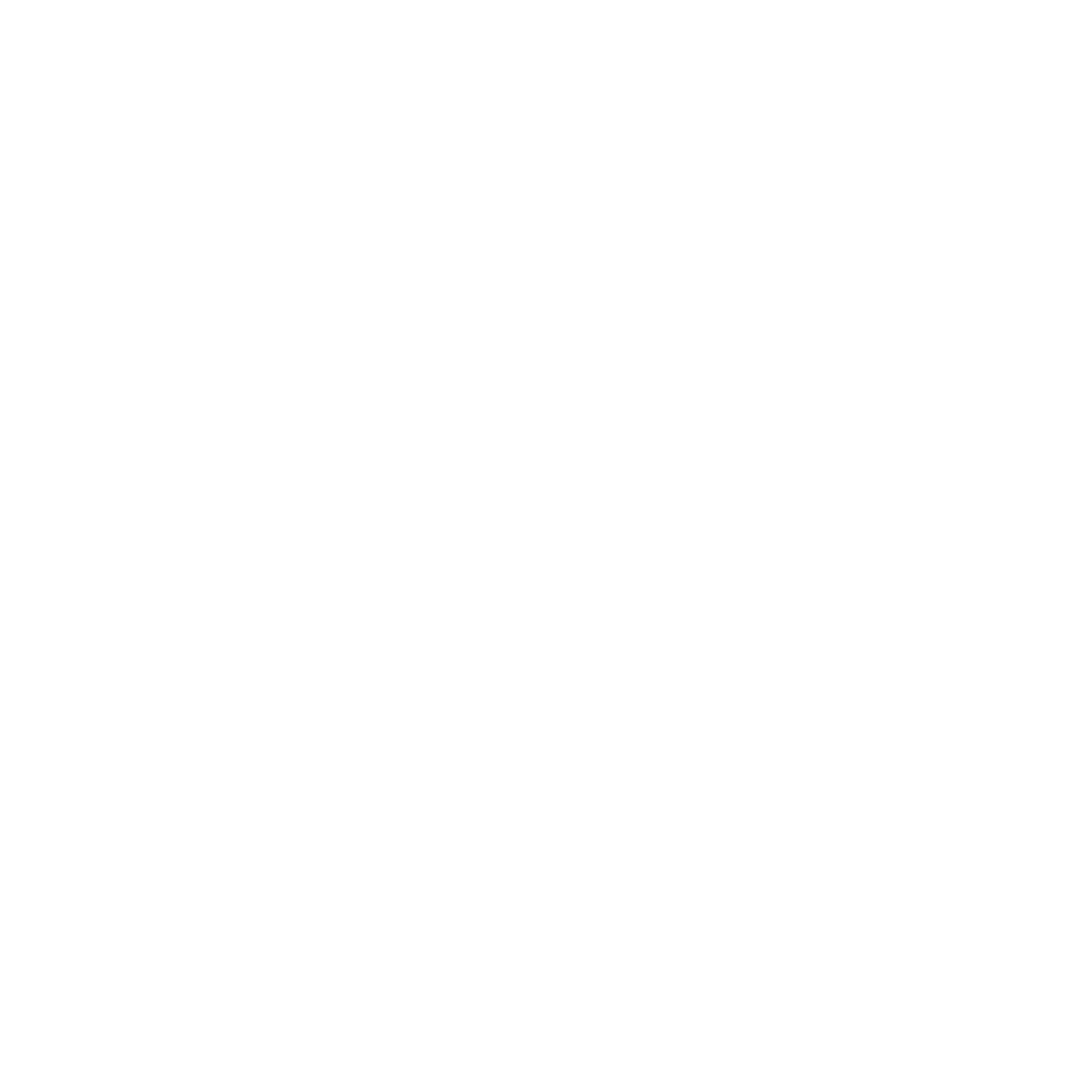 ysnson logo white